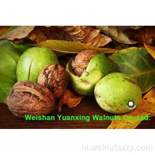 Walnut Kernels Light Pieces Concurrerende prijs